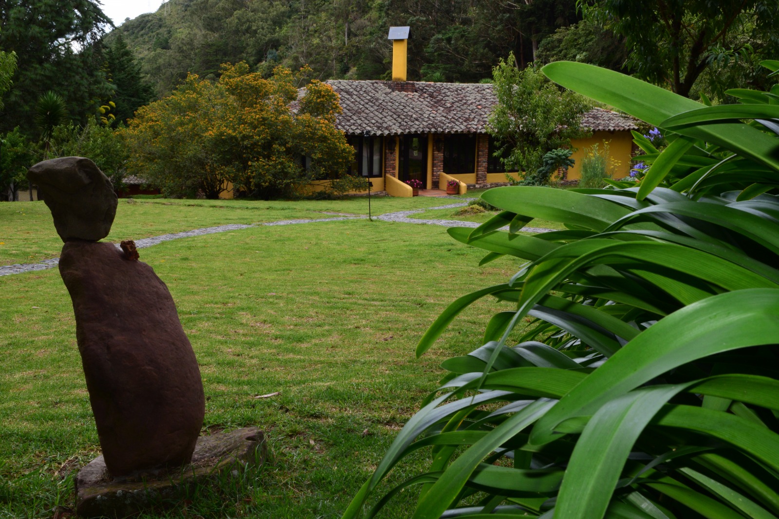 Posada Finca La Huérfana: Calidez Andina y Transformación en el Páramo El Zumbador