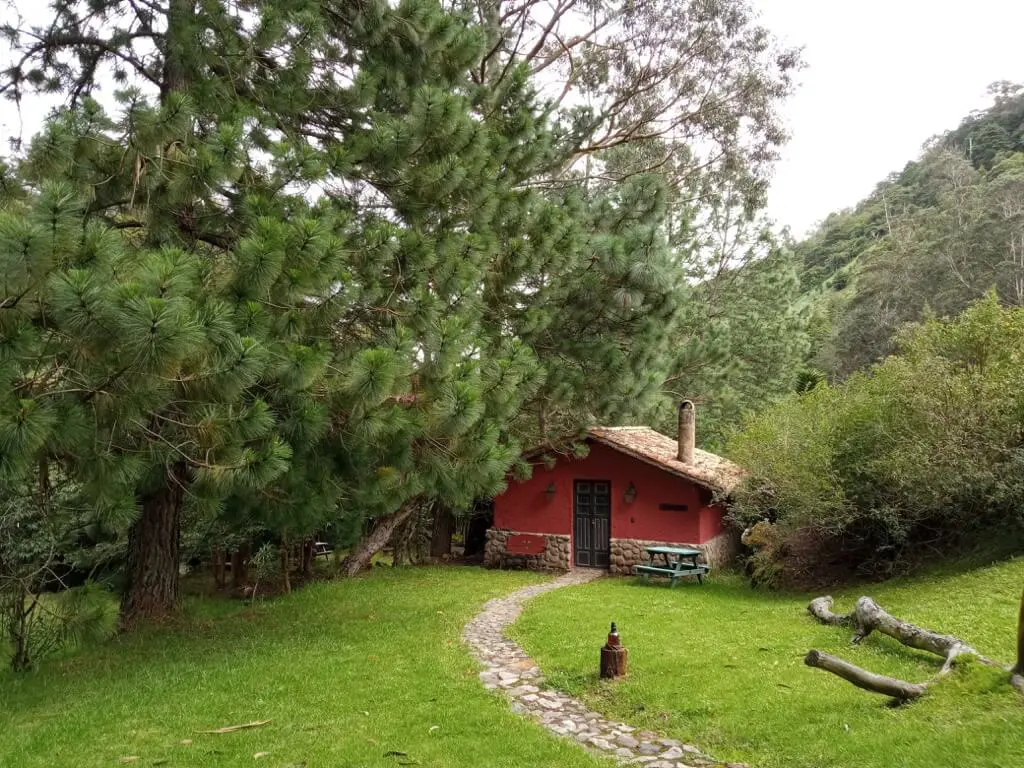 Finca La Huérfana - foto 3