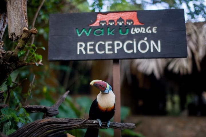 Wakü Lodge - foto 2